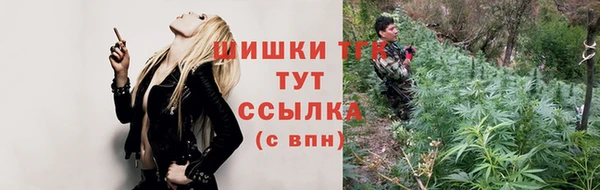 шишки Алексин