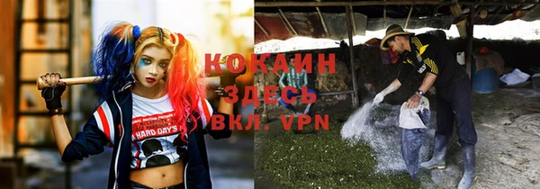 шишки Алексин