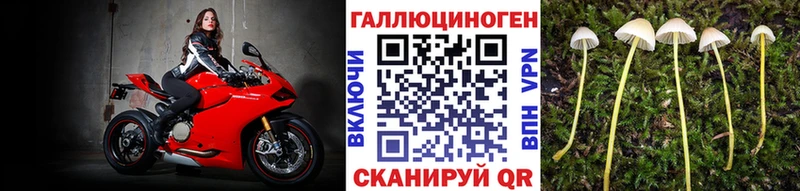 Галлюциногенные грибы мицелий закладка Лахденпохья